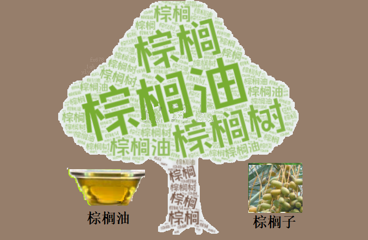 棕榈油突破关键技术位，创七周收盘新高